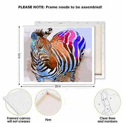 DIY Oil Acrylic Painting Kit Paint By Numbers Colorful Zebra With Frame 40x50cm • £5.98