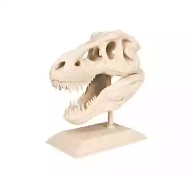 T-Rex Dinosaur Skull & Stand Dinosaur Skull Dinosaur Skull Replica 3d Print D • £14.99