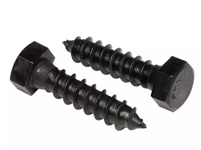 Stainless Steel Black Lag Bolts 3/8  X 1  Hex Lag Screws 10 Pcs 18-8 Stainles... • $21.62