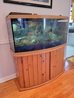 75 Gallon Aquarium Fish Tank With Stand  • $500
