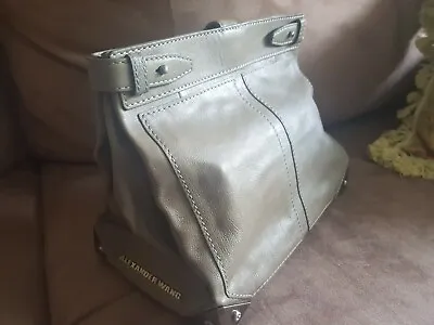 $220 • Buy Alexander Wang Large Grey Pouch/clutch - New -auth