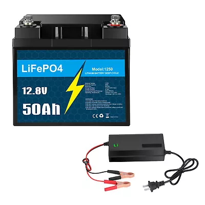12V 50Ah LiFePO4 Lithium Battery With Charger For RV Camping Marine Solar • $127.99