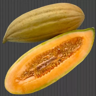 25+ Banana Melon Seeds | NON-GMO | Heirloom | Fresh | CANTALOUPE | MUSKMELON  • $2.49