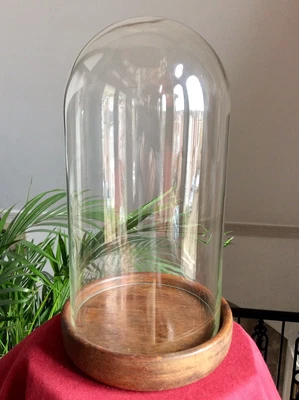 £23 • Buy Antique Vintage Glass Cloche Bell Jar Dome,Old Wood Base,Curios Feature Display