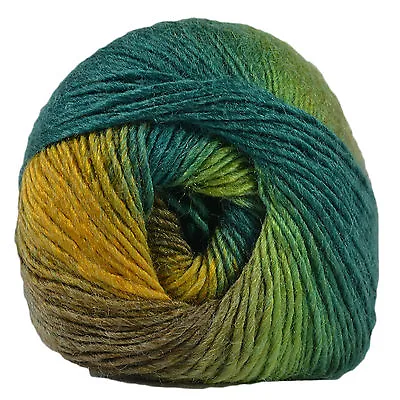 £3.49 • Buy King Cole Riot DK 100g Acrylic Wool Blend Multi Coloured Knitting Yarn
