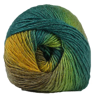 King Cole Riot DK 100g Acrylic Wool Blend Multi Coloured Knitting Yarn • £3.79