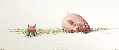 £16.89 • Buy WARWICK HIGGS  Trotters  Pig Piglet Farmyard Humour NEW SIZE:25cm X 59cm  RARE
