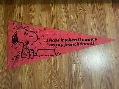 Vintage Snoopy Felt Pennant  I Hate It When It Rains On My French Toast  CUTE!! • $49.99