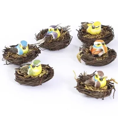 $35.69 • Buy Package Of 12 Assorted Color Mini Mushroom Birds In Nest For Decorating Cra