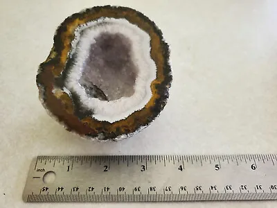 Mexican Zacatecas Geode  Coconut  / Cut & Polished / Unusual Quartz  + Color Rim • $34.95