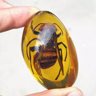 1Pcs Natural Beautiful Amber Hornet Fossil Insects Manual Polishing • £2.84