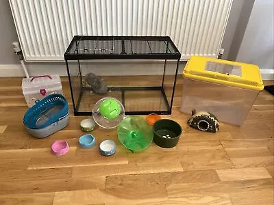 Glass Gerbil Tank • £0.99