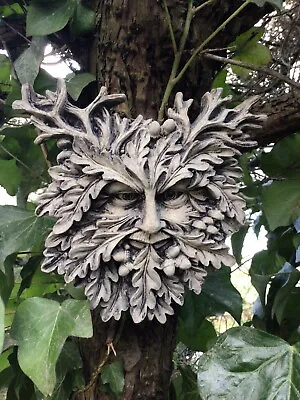 Stone Garden Small Acorn Leafy Green Man Leaf Face Wall Plaque Pagan Wiccan • £13.50