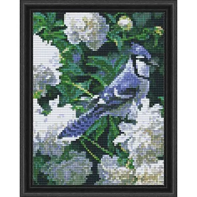 PixelHobby Summer Birds Kit & Frame Mosaic Art Kit • $54.98