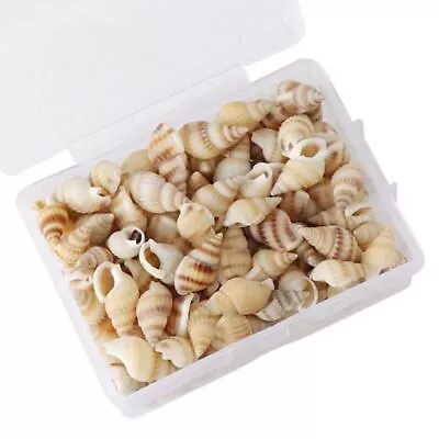 Tiny Sea Shells Mixed Ocean Beach Spirals Seashells Craft Charm For Shells • £5.94