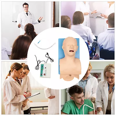 $239 • Buy Intubation Manikin Teaching Model, Adult Airway Management Trainer Education 
