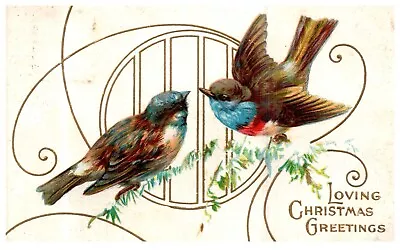 Christmas Greetings Loving Birds Posted Mercer PA 1910 Antique Postcard-Q2-36 • $4.99