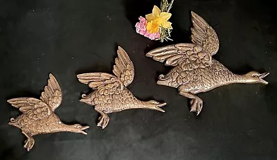 Three Vintage Graduated Brass Wall Hanging Flying Ducks 1950s 60s Large Birds • £35