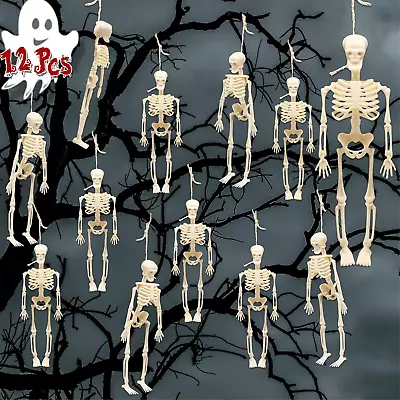 Mini Skeleton Halloween Decor 12 PCS Small Skeleton Figurines • $19.87