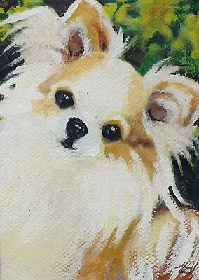 ACEO Original Animal Painting. Pomeranian Dog Virginia Martin Bradberry. Framed • £15