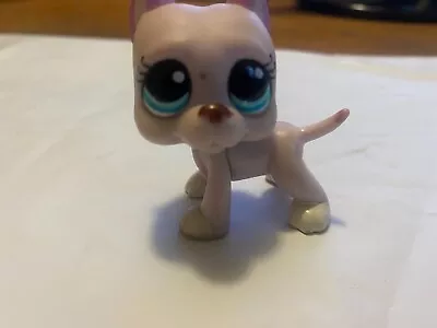 LPS Littlest Pet Shop #1022 Great Dane Pink Dog • $20