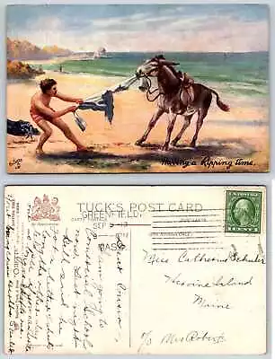 DONKEY HAVING A RIPPING TIME Tuck Oilette Postcard F303 • $1.98