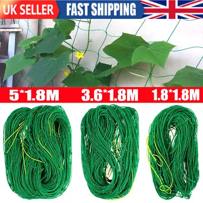 Garden Climbing Plant Support Mesh Net Netting Clematis Cucumber Bean Trellis • £5.98