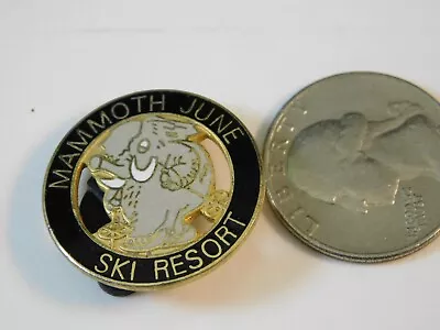 Mammoth June Ski Skiing Resort Travel Pin • $4.99