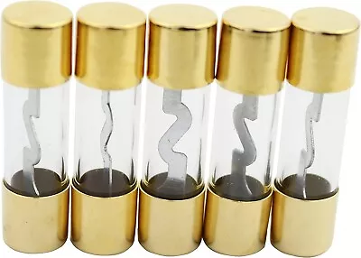 Pack Of 5 Car Audio Amp Amplifier Glass 50 A AMP AGU Gold Plated Fuse • $6.45