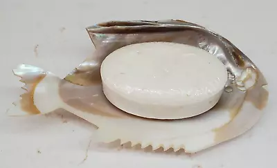 Abalone FISH Shaped Soap Dish W Ralph Lauren Safari Forever Men's Oatmeal Soap • $29