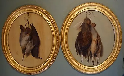 £999 • Buy Pair Antique Oil On Canvas Gamebird Paintings Hanging In Scullery Early 19th C