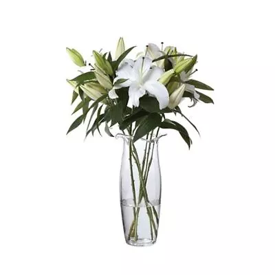 Dartington - Florabundance Crystal Lily Vase 35cm (Handmade In England) • $159