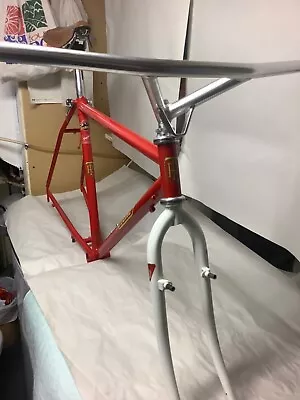 Vintage 1985 RITCHEY Ascent 19.5  MTB Frameset Butted 4130 Used GC • $400