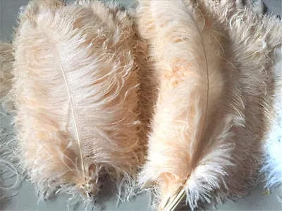 45-50cm Large Quality Champagne Ostrich Feather Long Wedding Party Costume Plume • £4.99