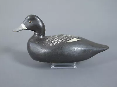Hen Blue Bill Solid Carved Duck Decoy In Re-paint • $30.95