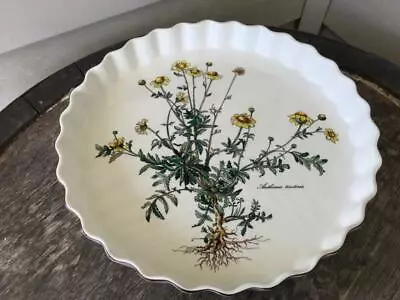 Villeroy And Boch Botanica 11 Quiche Dish Pan Excellent Anthemis • $49.99