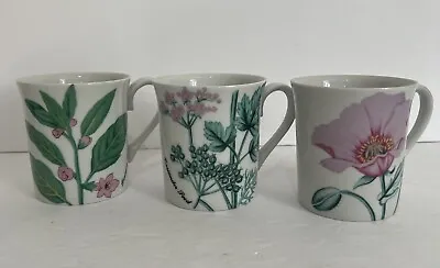 3 Horchow Collection Mugs Cups Botanical Herbs Seeds Flowers Porcelain Japan • $11.96