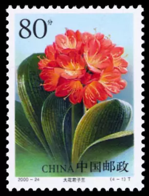 China PRC #Mi3198 MNH 2000 Scarlet Kaffir Lily [3070] • £2.78