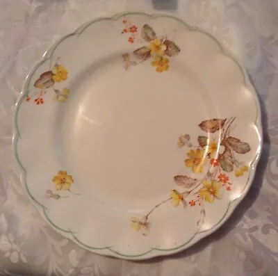 Grindley - Dinner Plate - Vintage Collectors • $8