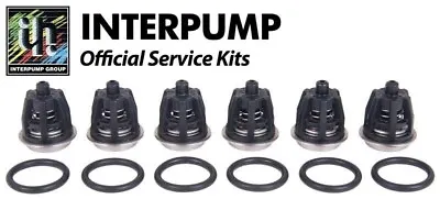 Genuine Pressure Washer Interpump Pump Valve Kit 1 For WS162 WS201 WS202 Etc • £44.99