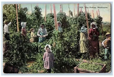1909 Hop Picking Kids Adults Boxed Harvesting Plantation Washington WA Postcard • £7.70