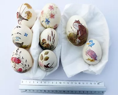 Eight Hand Painted Eggs - Nature Scenes By Stella Reading From The Mid 1980's • £5