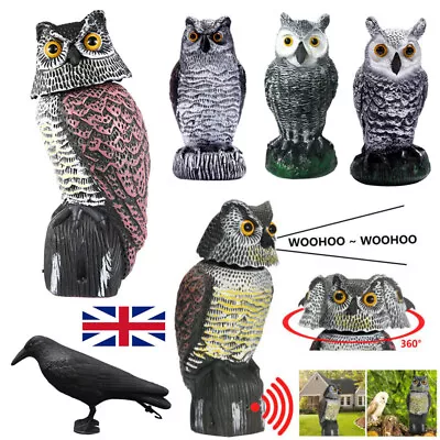 Realistic Owl Decoy Deterrent Rotating Head Sound Bird Pigeon Crow Scarer Statue • £9.56