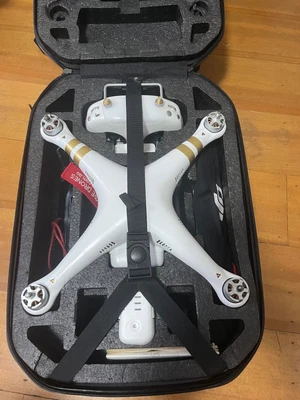 $425 • Buy DJI Phantom 3 Professional And Backpack Case With Spare Battery