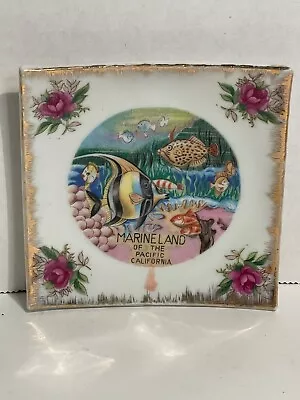 Square Marineland Of The Pacific California Souvenir Plate With Gold Edges 3.75  • $10