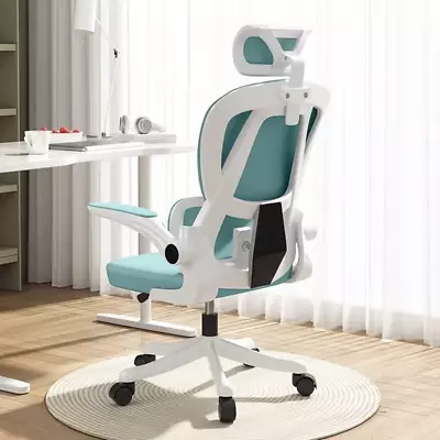 Computer Chair Office Chair High Back Ergonomic Office Chair With Lumbar Support • $149
