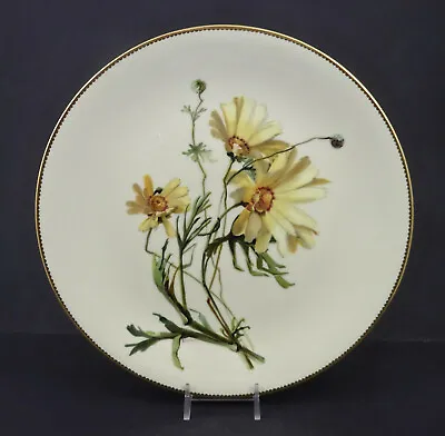 £160.69 • Buy Antique Mintons Cabinet Plate, Daisies