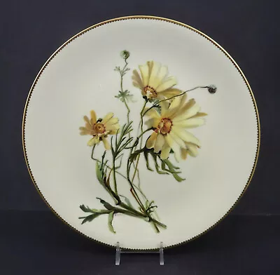 £160.69 • Buy Antique Mintons Cabinet Plate, Daisies