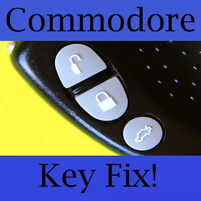 $3.60 • Buy Holden Commodore Key Buttons VS VT VX VY VZ Silver/Light Grey Set