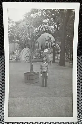 1940's Holland Park Palm Tree Man Fashion Cars Vintage Photograph • $8.43
